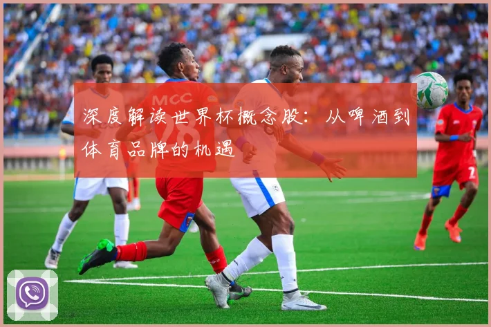 深度解读世界杯概念股：从啤酒到体育品牌的机遇